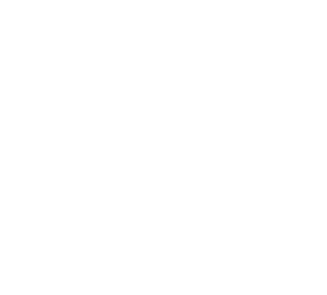 こだわりポイント 麺